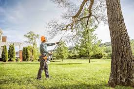 Best Fruit Tree Pruning  in Lyles, TN